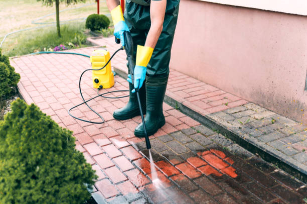 Animal Enclosure Cleaning in Olivarez, TX